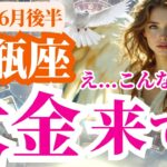 【水瓶座】2025年6月後半みずがめ座は大金来てる…！？信頼が、やがて大きな実りに…