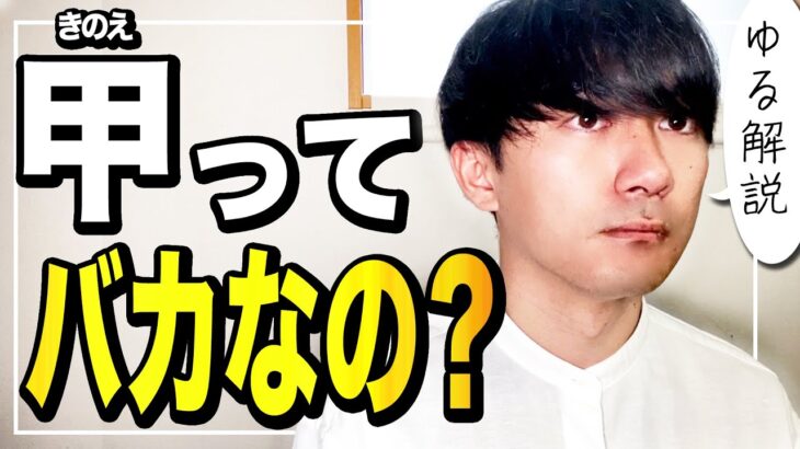 【四柱推命】甲さんのバカっぽさと魅力を語る。