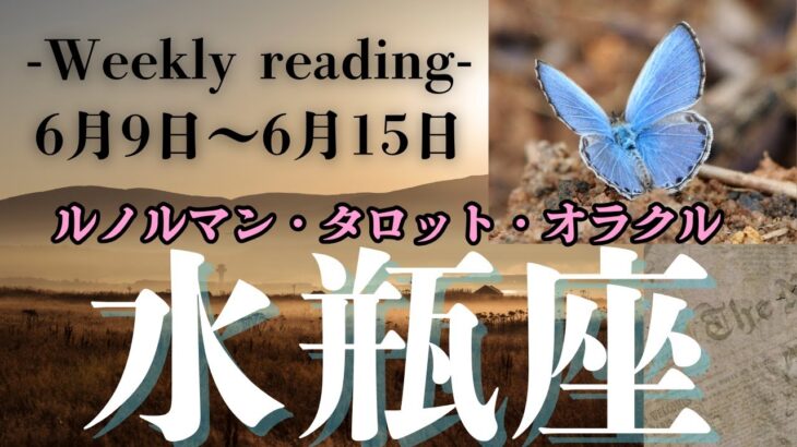 🔮👀‼【♒みずがめ座さん】🌄《2025年6月9日～6月15日》週間運勢リーディング🌱2025年12星座別🔮水瓶座運勢♠ルノルマンカード9枚引き♠タロットカード・オラクルカードもみていきましょう🔮