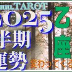 しがらみから解き放たれる🦅乙女座♍️さん【2025年下半期の運勢✨7月〜12月の運気・仕事運・人間関係】#2025 #タロット占い #星座別