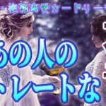 【あの人のリアル💙相手の気持ち】大人の恋愛タロットカードリーディング🫧個人鑑定級占い🔮