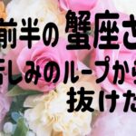 蟹座　7月前半　痛みからの解放　いらないものは手放してもいい　スッキリしよう　エネルギーは大切に使おう