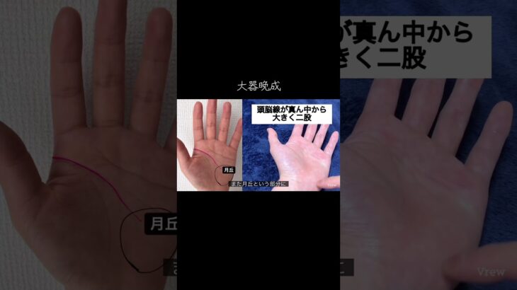 大物になれる器がある人 #手相鑑定 #手相 #占い #手相占い