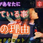 【辛口❤️‍🔥】お相手が貴方に隠している事とその理由❤️‍🔥辛口大丈夫な方だけご覧下さい🌶️🪬