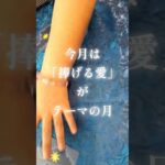 今月の運勢は「捧げる愛」#数秘術 #占い #数秘6 #引き寄せの法則 #開運メッセージ