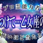 「なるべく早めに見て」乙女座の2025年後半戦がまさかの…ここから衝撃展開