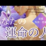 【タロット】神回🤍あなたの運命の人🤍外見・性格・星座・未来・今あなたに降りてきている大切なメッセージ