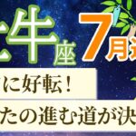 【牡牛座🎋7月運勢】あなたに必要なサインが届く！本当に必要な道が見えてくる💡［運勢リーディング＆タロット］