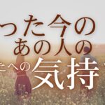 たった今のあの人のあなたへの気持ち 【 恋愛・タロット・オラクル・占い 】