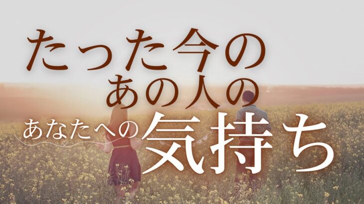 たった今のあの人のあなたへの気持ち 【 恋愛・タロット・オラクル・占い 】