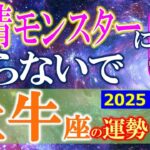 ★忖度なし★白珠イチゴが占う2025年夏至〜秋分の運勢★牡牛座★