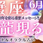 【蟹座】大興奮〜‼️これからの1年を彩る重要メッセージ🎉 全体運、見逃し注意👀✨ 6月運勢  タロット占い