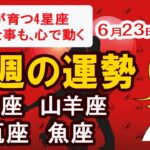 【恋も仕事も、心で動く】今週の運勢｜6月23日～29日｜射手座 山羊座 水瓶座 魚座
