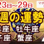 【今週の運勢6月23日から29日】牡羊座 牡牛座 双子座 蟹座