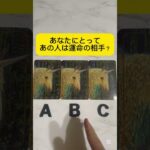 あなたにとってあの人は運命の相手？ #占い #恋愛 #タロット占い