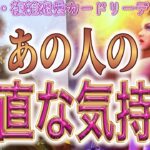 【変わり始める🏹相手の気持ち】片思い複雑恋愛タロットカードリーディング🦋個人鑑定級占い🔮