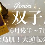 ふたご座♊️2025年6月後半〜7月前半🌝ふたご座さん…一気に逆転！すごいよ、これ、12年分まとめて来る！