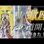 【蠍座さんへ🌈】あなたの道開き🕊️とうとうこの時がきた！?