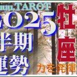 良いパートナーと出会える⁉️💗牡羊座♈️さん【2025年下半期の運勢✨7月〜12月の運気・仕事運・人間関係】#2025 #タロット占い #星座別