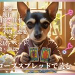 乙女座 おとめ座 2025年 6月 19日 UP分 ホロスコープ スプレッド タロットカード 仕事 天命 人間関係 恋愛 金運 潜在意識 占い