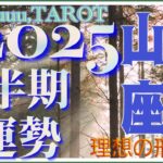 これから変えていく流れ🌈山羊座♑️さん【2025年下半期の運勢✨7月〜12月の運気・仕事運・人間関係】#2025 #タロット占い #星座別