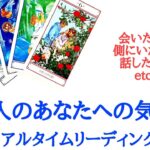 🌹恋愛タロット占い🌹あの人のあなたへの気持ち、赤裸々リアルタイムリーディング4択‼️