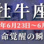 牡牛座 【 おうし座 ♉ 】週間リーディング( 2025年 6月23日の週) 急展開！意識改革が招く大逆転の幸運波🌊🔑 牡牛座 タロット占い