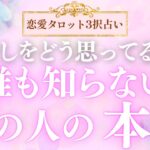 【恋愛タロット3択占い】～わたしをどう思ってるの？～誰も知らないあの人の本心_バランガン_いち木しま馬