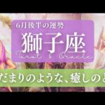 【獅子座】6月後半／自分の人生に輝きをもたらす何かと出会う😳✨🎉【運勢】【タロット】【しし座】