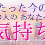 たった今、あの人のあなたへの気持ち 【 恋愛・タロット・オラクル・占い 】