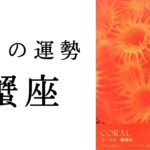 蟹座・2025年7月――今まさにチャンス⭐️宇宙から大きく背中を押されています！！✳︎タロット占い