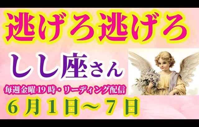 【獅子座】2025年6月1日から7日までのしし座の運勢。#獅子座 #しし座