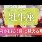 【牡牛座】6月後半／嬉しい実りがある！人生において重要な意味のある出会いも！😳✨🎉【運勢】【タロット】【おうし座】