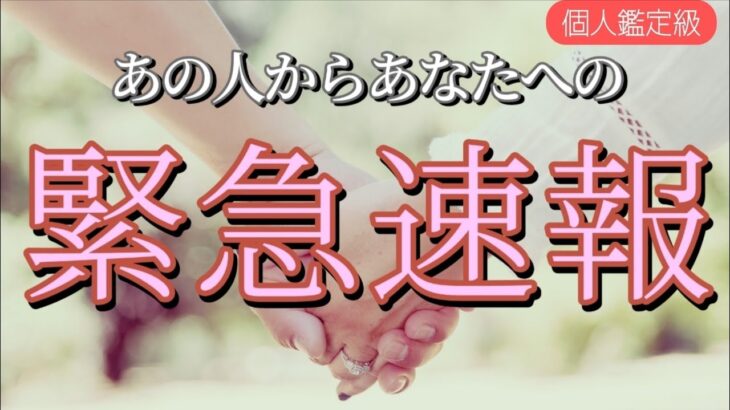 待って…!!お相手からあなたへ緊急速報が入りました💓恋愛タロット占い