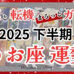 【運勢ナビ】うお座マジで絶対見て！涙と感動、想像を超える時間の幕開けです！2025年下半期全体運♓️【脱力系タロット】