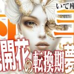 【15分でわかる！いて座7月後半】眠れる才能が目覚める！ 知恵と行動力で理想の未来を掴む【癒しの眠れる占い】
