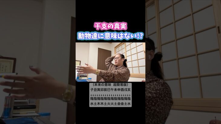 辰と亥“以外”が例外？ #干支 #十二支 #算命学 #陰占 #占い