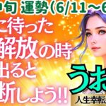 【♓魚座さん💖6月中旬運勢】〈暗闇からの大解放✨不安や迷いを断ち切って、願いが叶うと信じて進もう✨貴方の魅力はどんどん華開いていきます🌸〉 人生幸転タロットリーディング 占い うお座 太陽星座・月星座