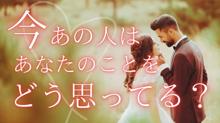 【 お知らせあります 】 今あの人はあなたのことをどう思ってる？ 【 恋愛・気持ち・タロット・オラクル・占い】