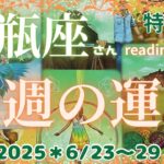 すっご〜い❗️気づきがやって来る😱【水瓶座さん特化型】♒️6/23〜29＊reading＆talk『願いを叶える話し』🍀
