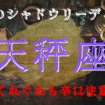 天秤座６月〜７月【シャドウ】あなたの魂に忠実に生きる時⭐️魔女のシャドウリーディング🌗