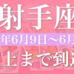 【いて座】1週間の運勢（2025年6月9日〜6月15日）♐️十分登りきった！育める場所、解放と手放し、気持ちが通じ合う