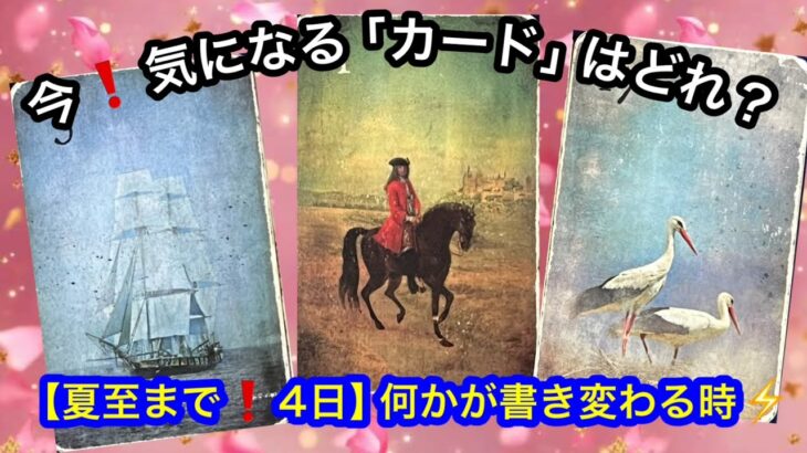 【まさに今❗️来ている⚡️予想外の急展開】この今日❗️あなたに急いで伝えたい✨緊急メッセージ💌🏇【ルノルマンカードリーディング占い】恐ろしいほど当たる😱