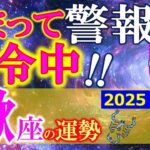 ★忖度なし★白珠イチゴが占う2025年夏至〜秋分の運勢★蠍座★