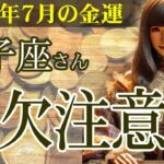 【双子座】💴2025年7月 ふたご座の金運💹🌟【金欠注意報】双子座のあなたへ…2025年7月の金運を救う逆転のヒント！👛✨2025年7月の双子座の金運を中心に、12星座とタロット占いで徹底追及！