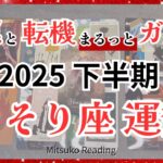 【運勢ナビ】さそり座😭✨奇跡みたいな未来が待ってる凄いよ、、、まばゆい変化で新しいわたしへ！2025年下半期全体運♏️【脱力系タロット】