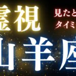 山羊座♑️霊視【大切にして欲しいこと✨✨✨✨】