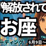 【魚座】♓️2025年6月9日の週♓️みんなが羨む私。心が解放され、理想の私になる時。うお座。タロットリーディング