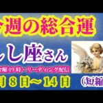 【獅子座】2025年6月8日（日曜）から6月14日（土曜）までのしし座の運勢。#獅子座 #しし座