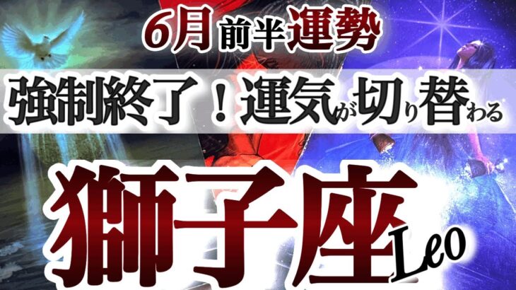 獅子座 6月前半運勢【朗報！止まっていた運命と心が動き出す】過去の傷が癒されて人に恵まれる　しし座　2025年６月　タロットリーディング　Leo　June
